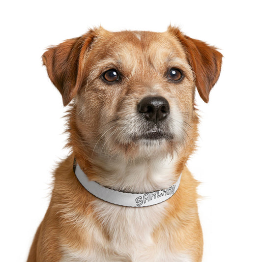 Sarcasm Clip-On Pet Collar — Funny White Dog Collar for Puppies & Small Dogs