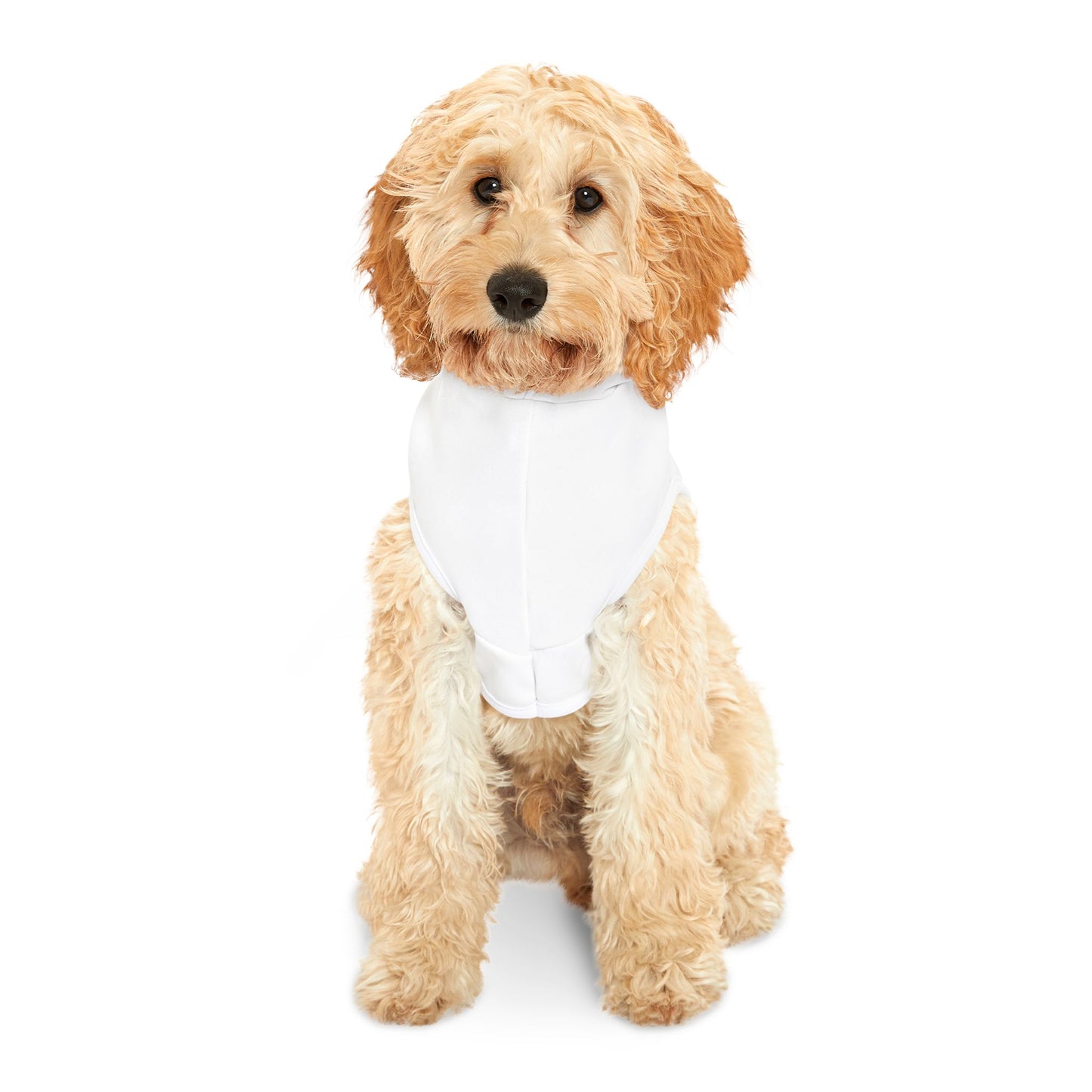 Pet Hoodie — "Real Apparel Co. Premium Shirts" Dog & Cat Hoodie, Lightweight Cozy Pet Sweatshirt
